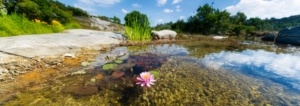 Qualité de l'Eau Potable en France :