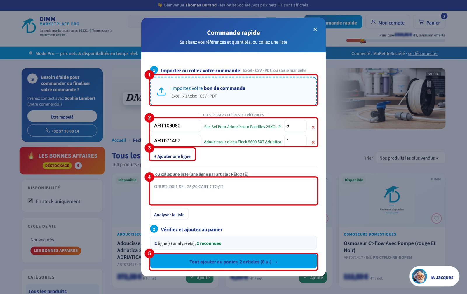 La fenêtre Commande rapide