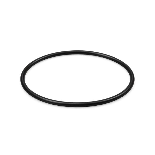 Joint torique pour porte-filtre big blue, Aquapro PR-ORING-BB